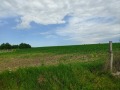 Продава ПАРЦЕЛ, с. Смолница, област Добрич, снимка 1