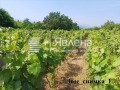 Продава ПАРЦЕЛ, гр. Благоевград, Баларбаши, снимка 2