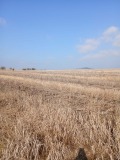 Продава ЗЕМЕДЕЛСКА ЗЕМЯ, с. Алдомировци, област София област, снимка 3