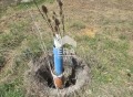 Продава ПАРЦЕЛ, област София, с. Каленовци • 55000 лв. • 68226512 — Holmes.bg