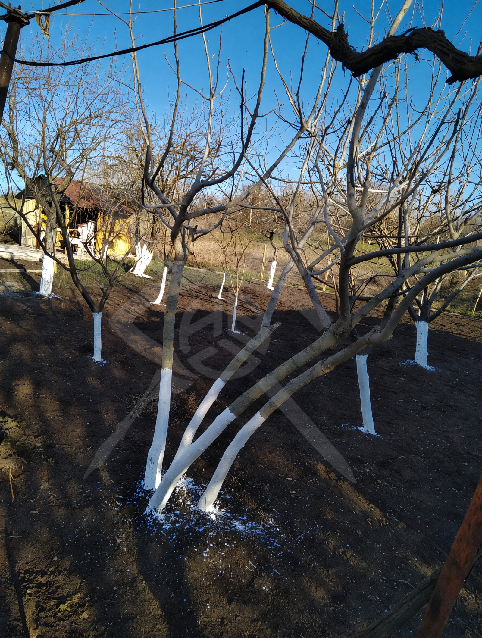 ������� ���� | Imot.bg � ����������� 4