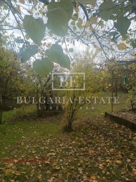 ������� ���� | Imot.bg � ����� ������ 12