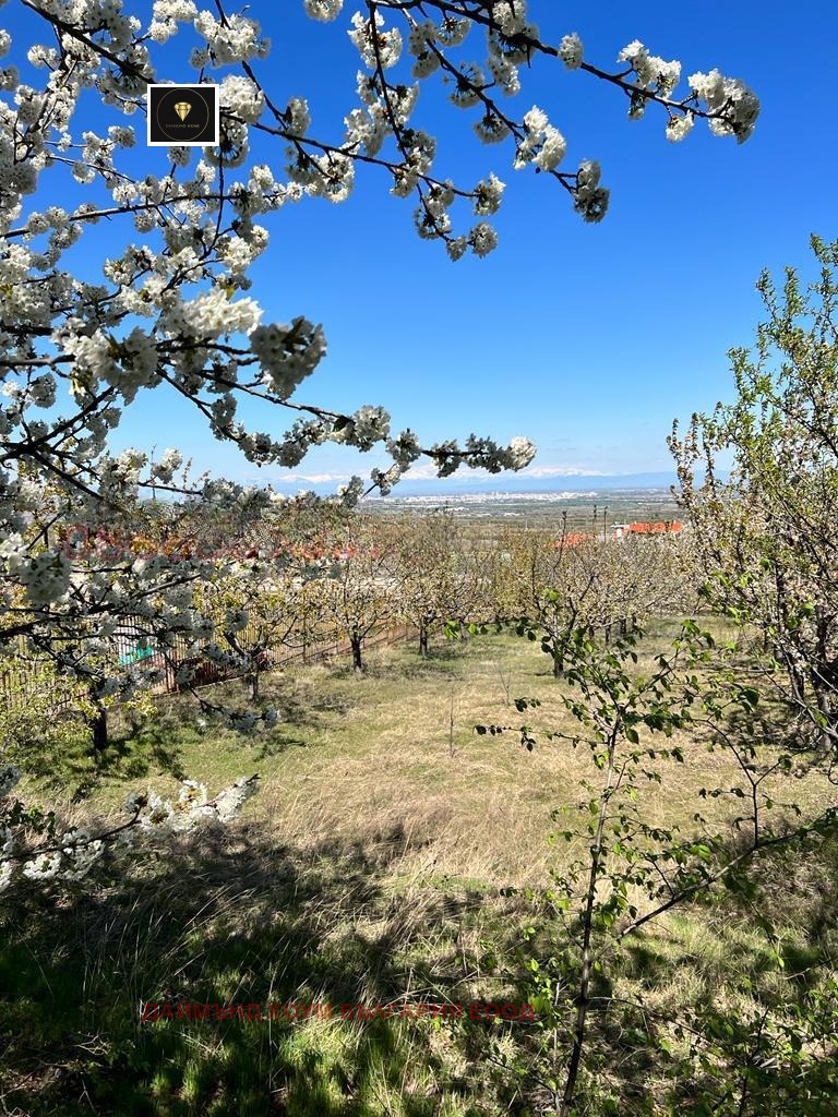 Til salg  Grund region Plovdiv , Brestnik , 1760 kvm | 51095646 - billede [7]