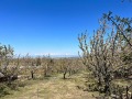 Продава ПАРЦЕЛ, област Пловдив, с. Брестник • 179000 € • 99927441 — Holmes.bg