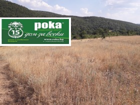 Plot Lyaskovo, region Stara Zagora  2