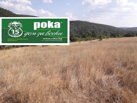 Plot Lyaskovo, region Stara Zagora  1