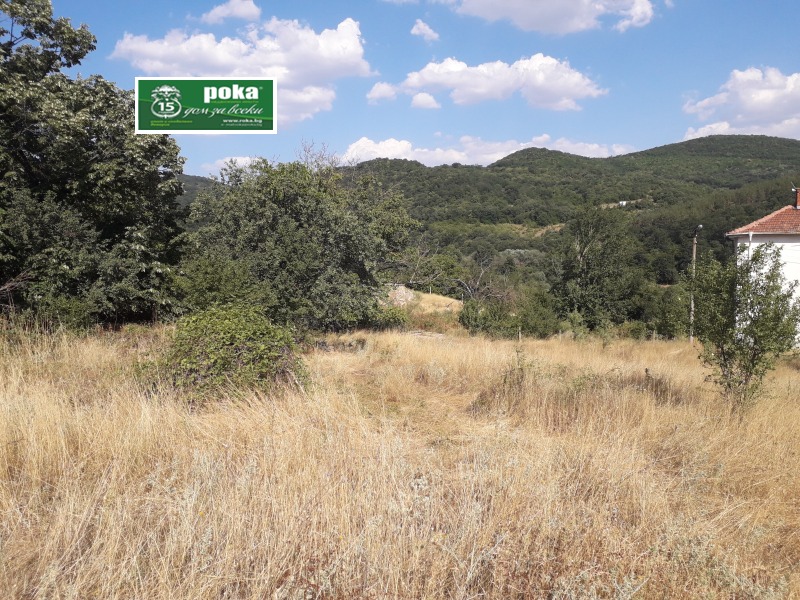 Te koop  Verhaallijn regio Stara Zagora , Ljaskovo , 1539 m² | 41508705 - afbeelding [3]