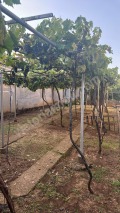 Продава КЪЩА, област Велико Търново, с. Беляковец • 249000 € • 61902477 — Holmes.bg