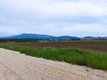 Продава ПАРЦЕЛ, област София, с. Гурмазово • 53580 € • 95851869 — Holmes.bg