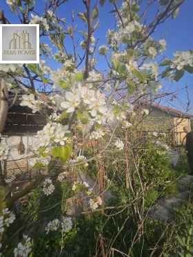 ������� ���� | Imot.bg � ����� ������ 11