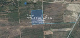 ����� ������� ������,���� �������, ���������