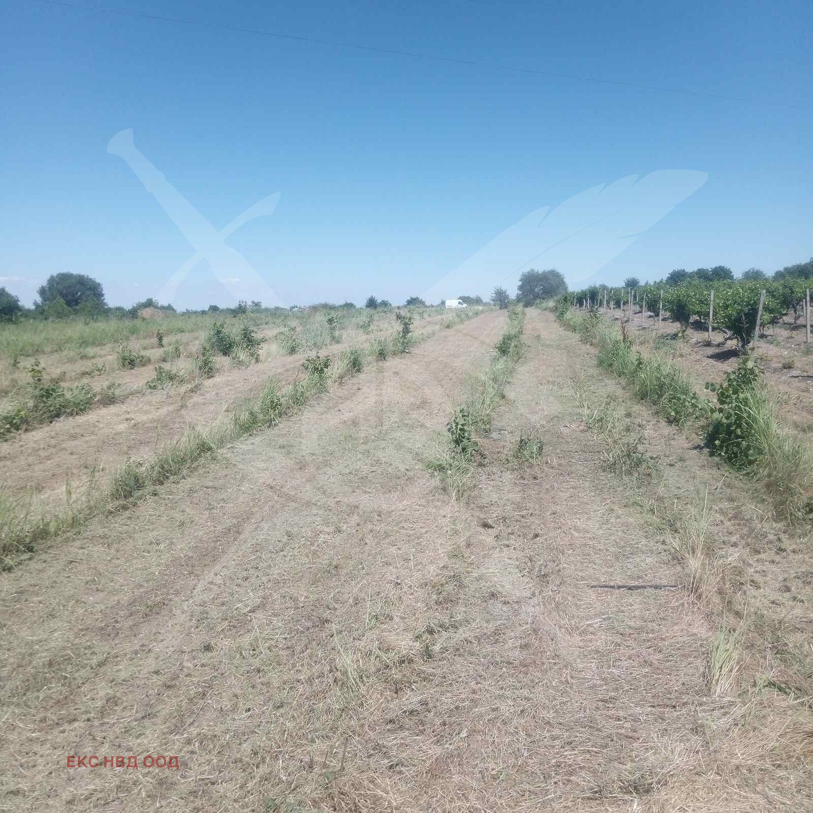 ������� ���������� ���� | Imot.bg � ����������� 1