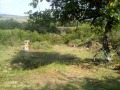 Продава ПАРЦЕЛ, с. Горно Белево, област Стара Загора, снимка 4