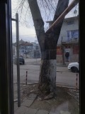 Продава МАГАЗИН, град Шумен, Гривица • 300000 лв. • 93794479 — Holmes.bg