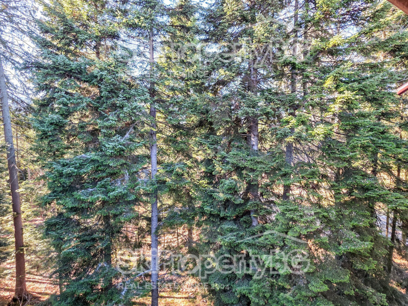 Продава 1-СТАЕН, к.к. Боровец, област София област, снимка 10 - Апартаменти - 52506390