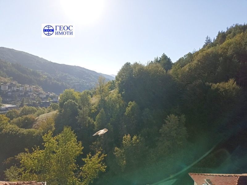 Til salgs  Hus region Smolyan , Taran , 165 kvm | 36959903 - bilde [13]