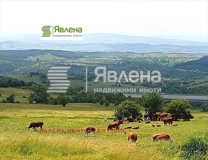 Продава КЪЩА, с. Големо Бучино, област Перник, снимка 7 - Къщи - 49069176