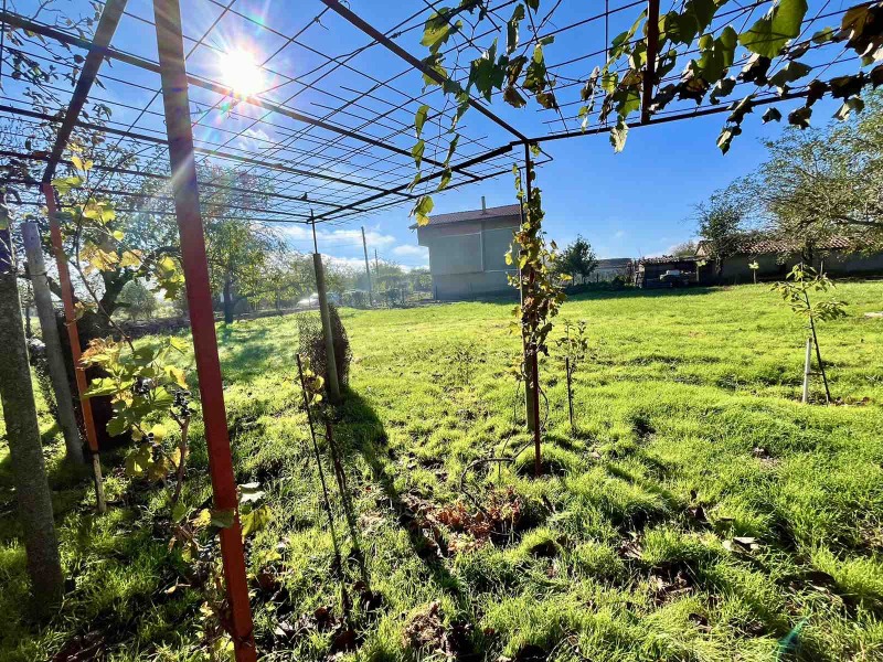 Til salgs  Hus region Dobrich , Bezvoditsa , 90 kvm | 74711470 - bilde [2]