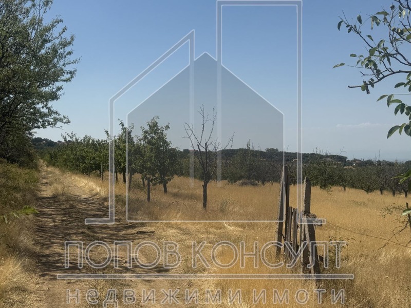 Na prodej  Spiknutí oblast Plovdiv , Brestnik , 2000 m2 | 75420182 - obraz [2]