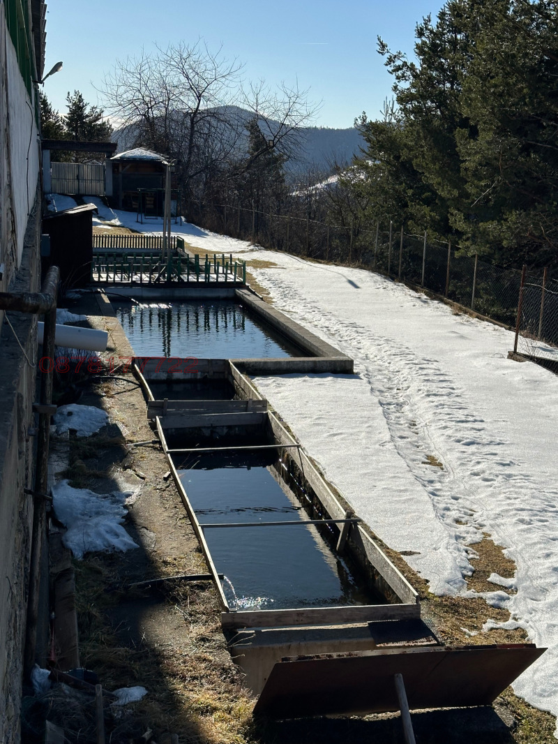 Продава ПРОМ. ПОМЕЩЕНИЕ, с. Кутела, област Смолян, снимка 9 - Производствени сгради - 52780589