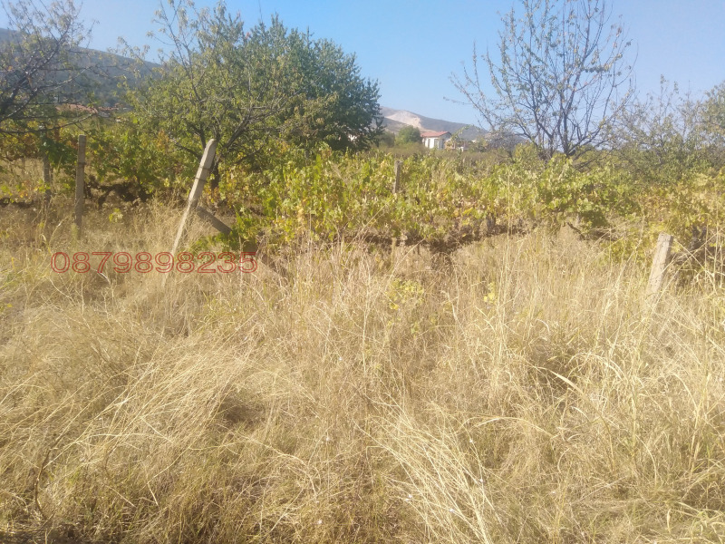 Продава ПАРЦЕЛ, с. Брестник, област Пловдив, снимка 2 - Парцели - 53510453