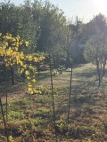 Продава  Вила област Добрич , с. Бранище , 20 кв.м | 53124136 - изображение [11]