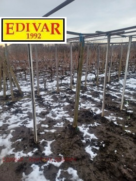 ������� ������ | Imot.bg � ����� ������ 2