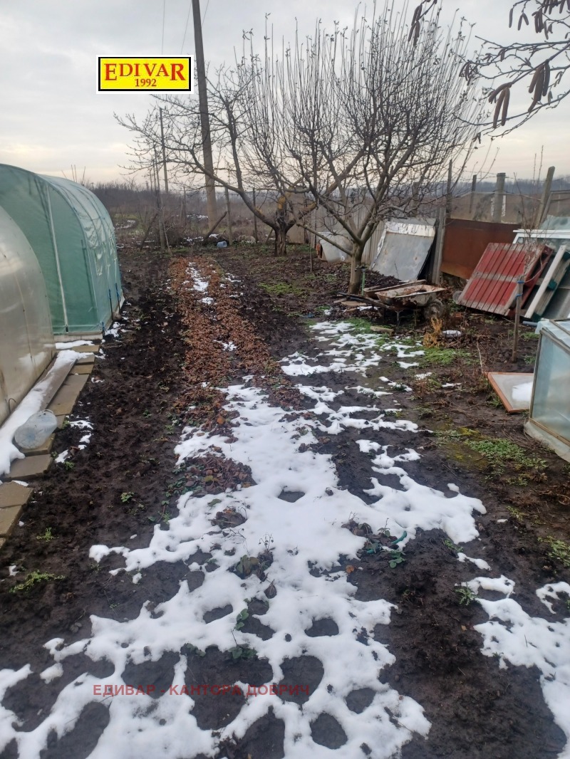 Продава ПАРЦЕЛ, гр. Генерал Тошево, област Добрич, снимка 4 - Парцели - 52985611