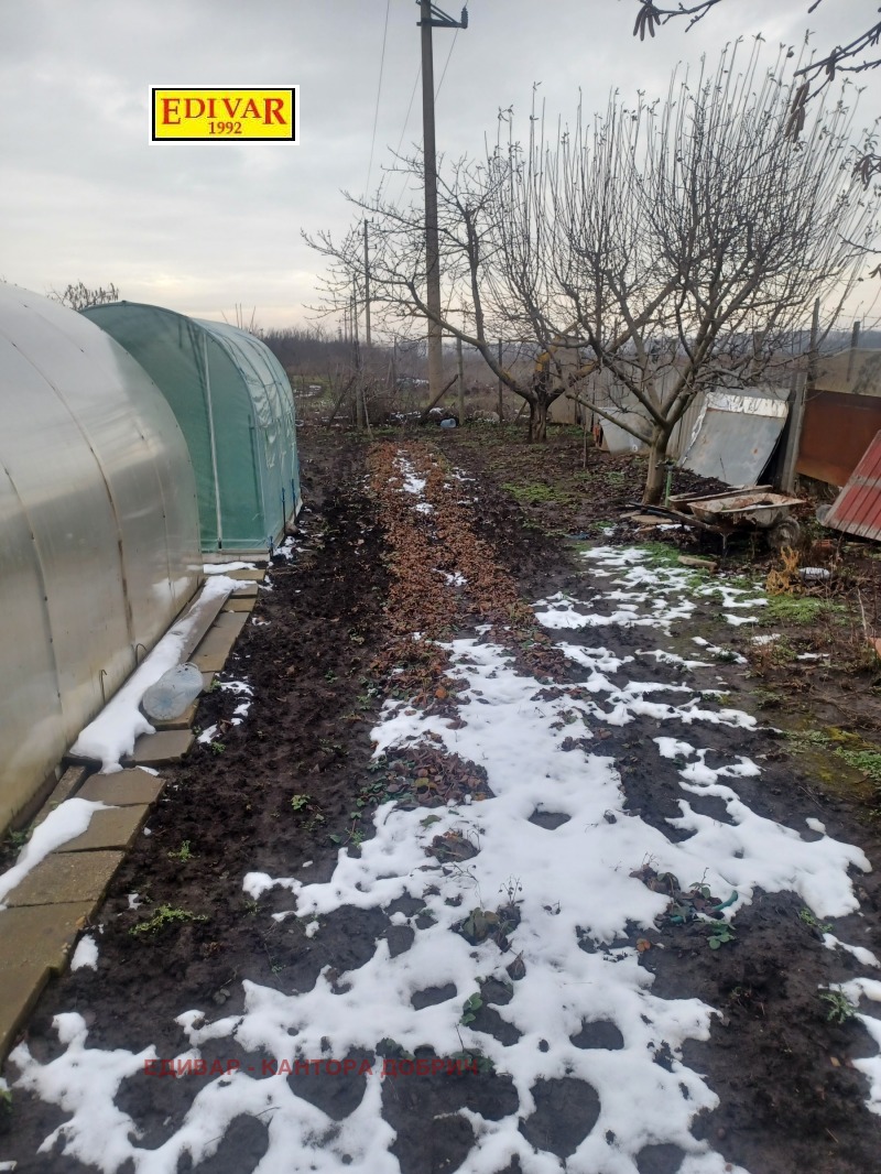 Продава ПАРЦЕЛ, гр. Генерал Тошево, област Добрич, снимка 3 - Парцели - 52985611