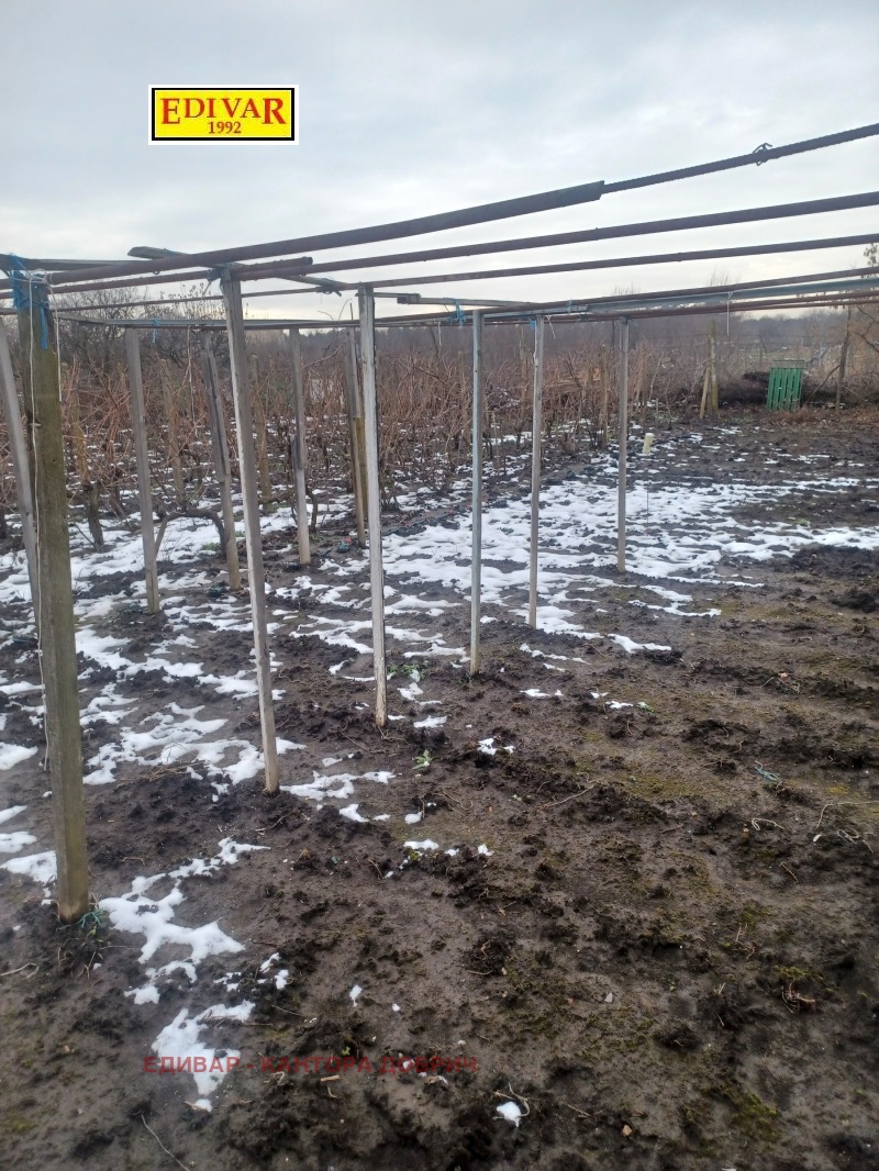 Продава ПАРЦЕЛ, гр. Генерал Тошево, област Добрич, снимка 2 - Парцели - 52985611