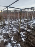 Продава ПАРЦЕЛ, гр. Генерал Тошево, област Добрич, снимка 2