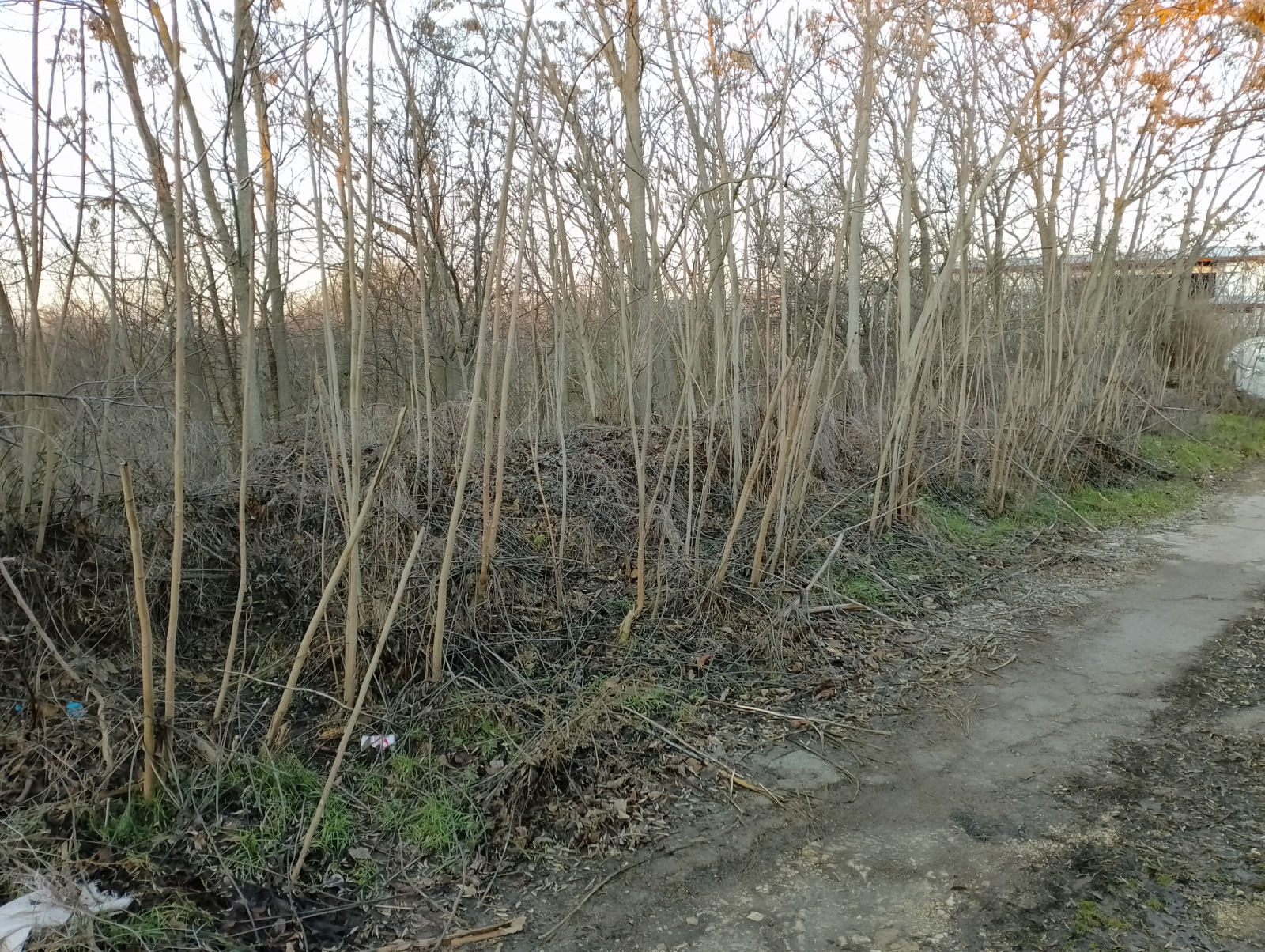 ������� ������ | Imot.bg � ����������� 10