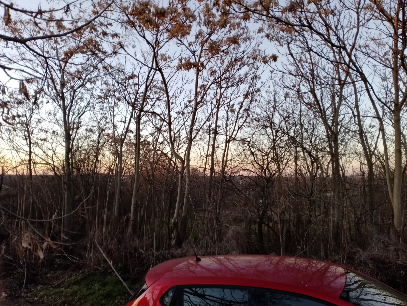 ������� ������ | Imot.bg � ����������� 4