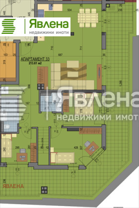 ����� ������� ����������,���� �����, ��������