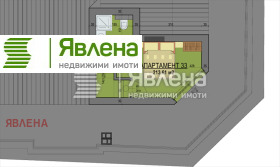 ����� ������� ����������,���� �����, ��������