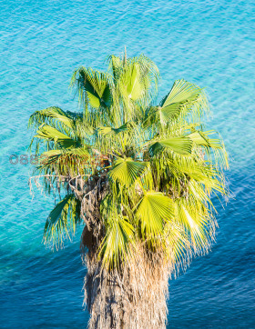 ������� ���� | Imot.bg � ����� ������ 11