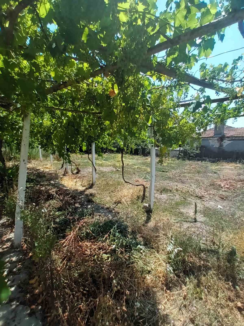Til salgs  Hus region Varna , Devnja , 124 kvm | 65746140 - bilde [16]