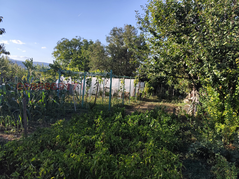 Продава ВИЛА, гр. Търговище, Вилна зона, снимка 2 - Вили - 52782402