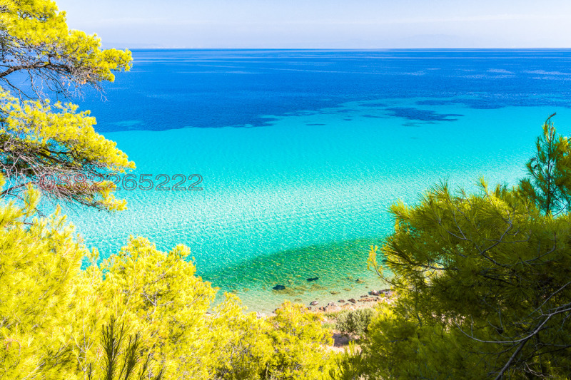 Продава ВИЛА, Извън страната, област Извън страната, снимка 9 - Вили - 53023432