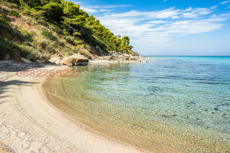 Продава ВИЛА, Извън страната, област Извън страната, снимка 6 - Вили - 53023432