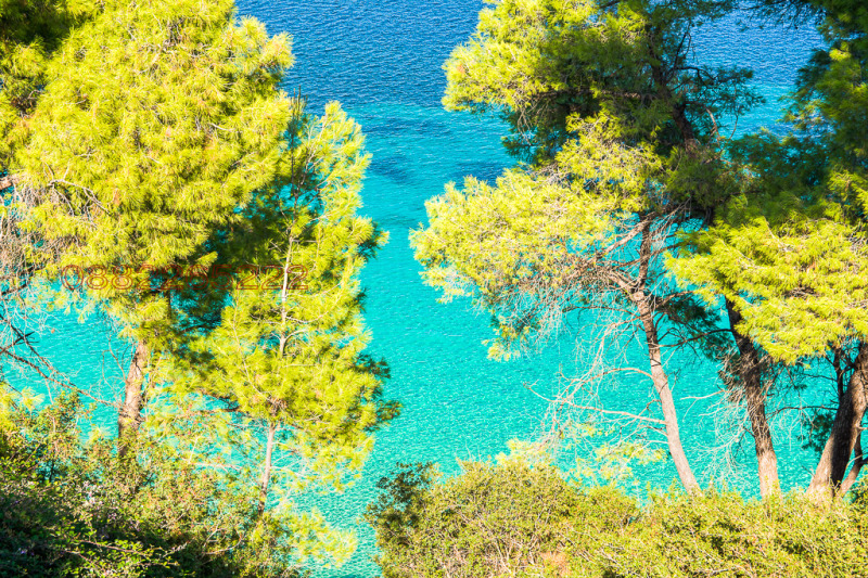 Продава ВИЛА, Извън страната, област Извън страната, снимка 8 - Вили - 53023432