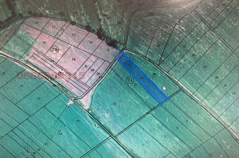 Продава ЗЕМЕДЕЛСКА ЗЕМЯ, с. Бегуновци, област Перник, снимка 4 - Земеделска земя - 52783402