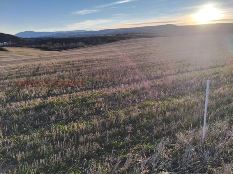 Продава ЗЕМЕДЕЛСКА ЗЕМЯ, гр. Батановци, област Перник, снимка 5 - Земеделска земя - 52781206