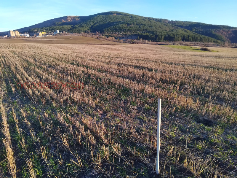 Продава ЗЕМЕДЕЛСКА ЗЕМЯ, гр. Батановци, област Перник, снимка 6 - Земеделска земя - 52781206