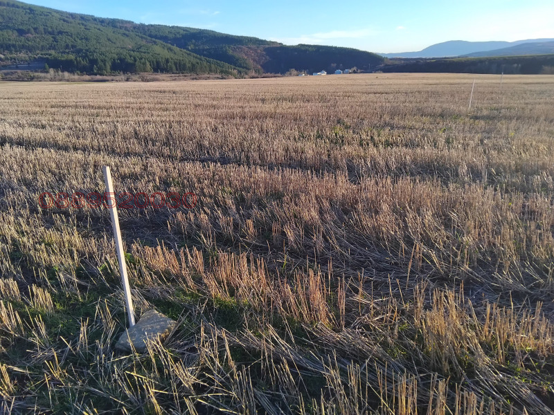 Продава ЗЕМЕДЕЛСКА ЗЕМЯ, гр. Батановци, област Перник, снимка 9 - Земеделска земя - 52781206