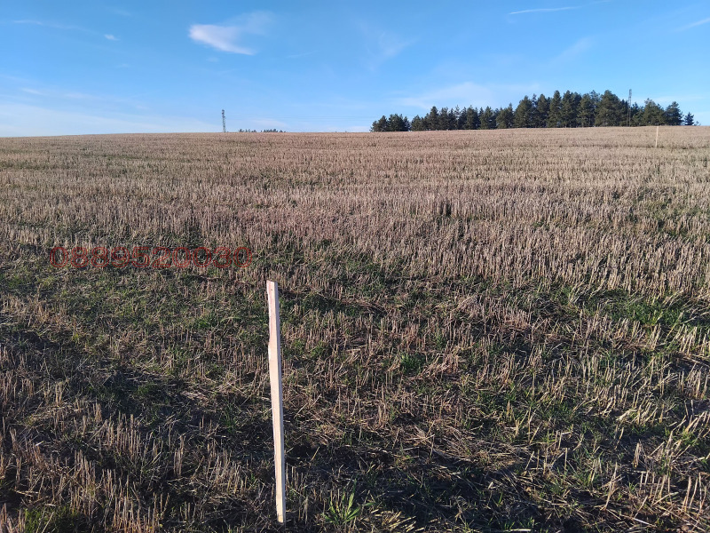 Продава ЗЕМЕДЕЛСКА ЗЕМЯ, гр. Батановци, област Перник, снимка 11 - Земеделска земя - 52781206