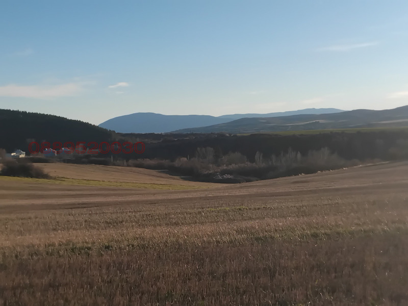Продава ЗЕМЕДЕЛСКА ЗЕМЯ, гр. Батановци, област Перник, снимка 10 - Земеделска земя - 52781206