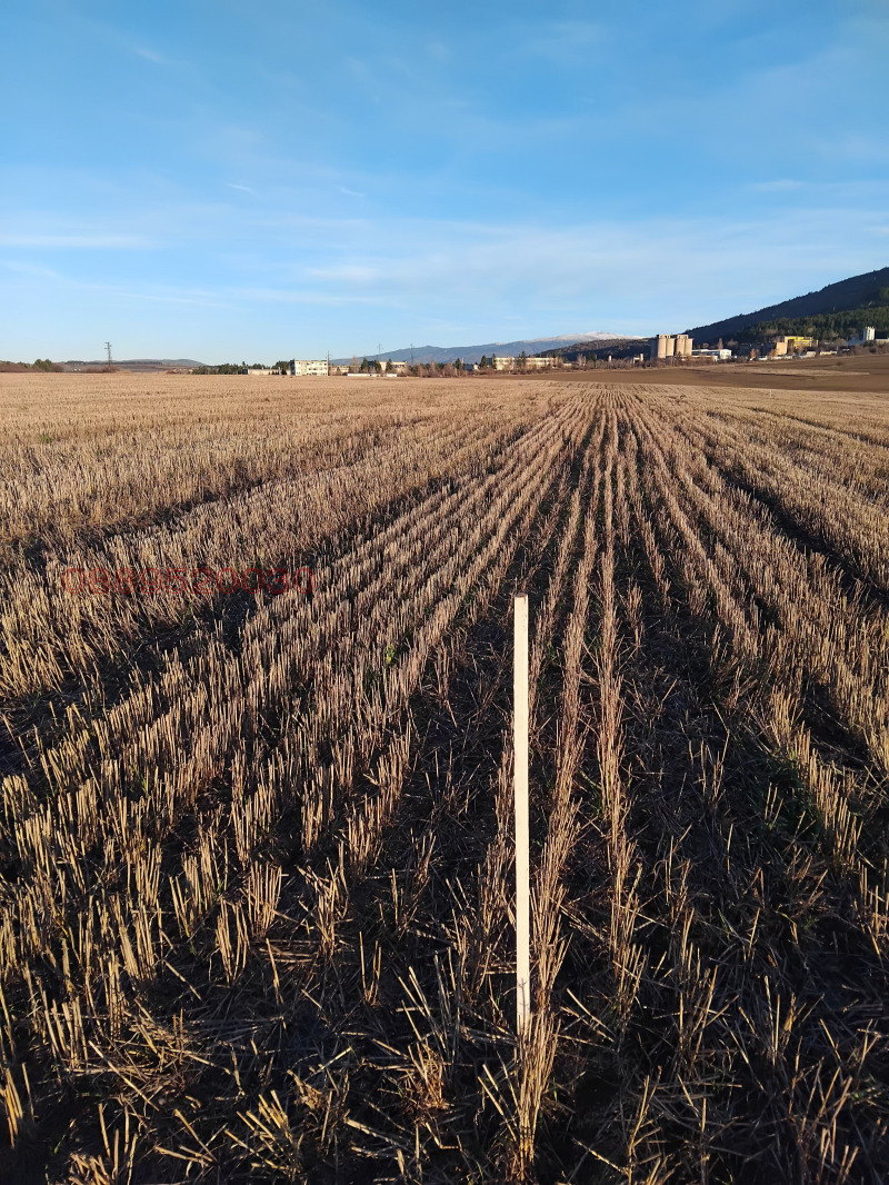 Продава ЗЕМЕДЕЛСКА ЗЕМЯ, гр. Батановци, област Перник, снимка 8 - Земеделска земя - 52781206