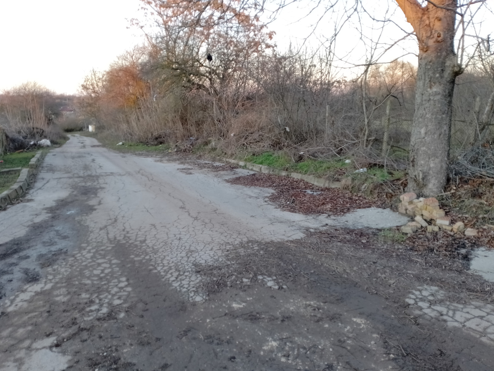 Продава ПАРЦЕЛ, с. Червенци, област Варна, снимка 12 - Парцели - 55557670