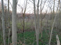 Продава ПАРЦЕЛ, с. Червенци, област Варна, снимка 7